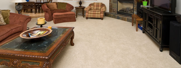Carpet and Fabric Cleaning, Fairburn, GA